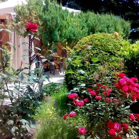 62a Doctor Luben Lazarov Street Lejlighed